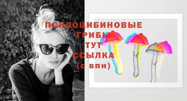 сатива Алзамай
