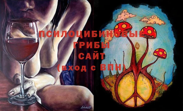 сатива Алзамай