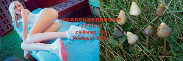 сатива Алзамай