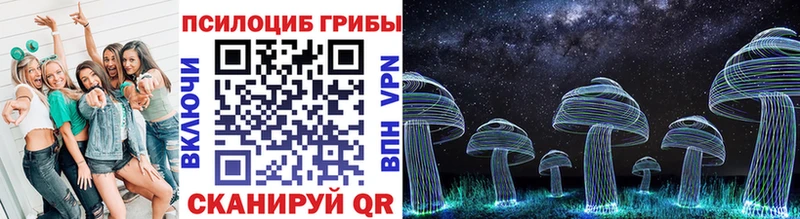 Псилоцибиновые грибы Psilocybine cubensis  Харовск 